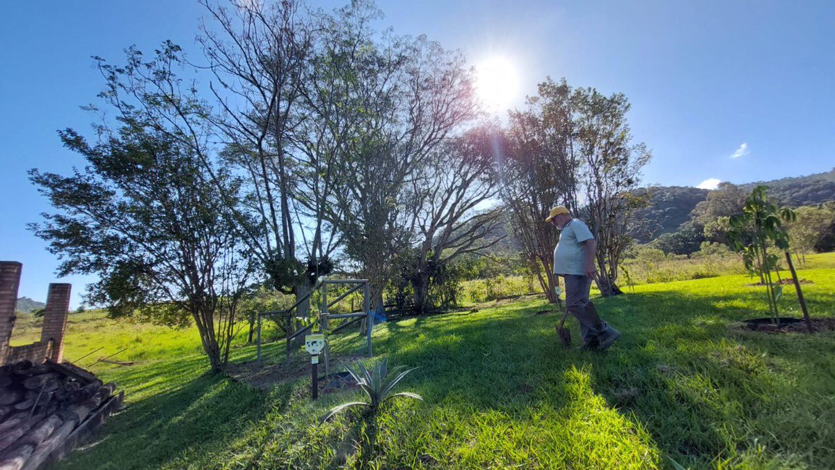 PrefRiodoSul's tweet photo. Com o plantio🌱 da canela sassafrás, árvore símbolo de Rio do Sul, demos o pontapé inicial para a implantação do Jardim🌳 Botânico, que será referência em SC. São 24 hectares dedicados a estudos e diversos projetos para desenvolver fauna e flora.
#meioambiente #riodosul https://t.co/y4s54umwy1