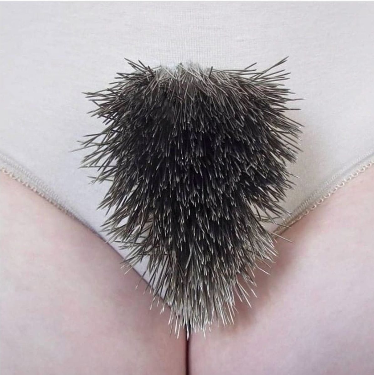 Women can have leg hair and men can shave. It’s just hair at the end of the day. 💁‍♀️

We work with young people to discuss puberty changes such as growing hair and other the social pressures that can surround them. Find out more: ow.ly/QFGo50IJP8s

Art Credit: @livthurley