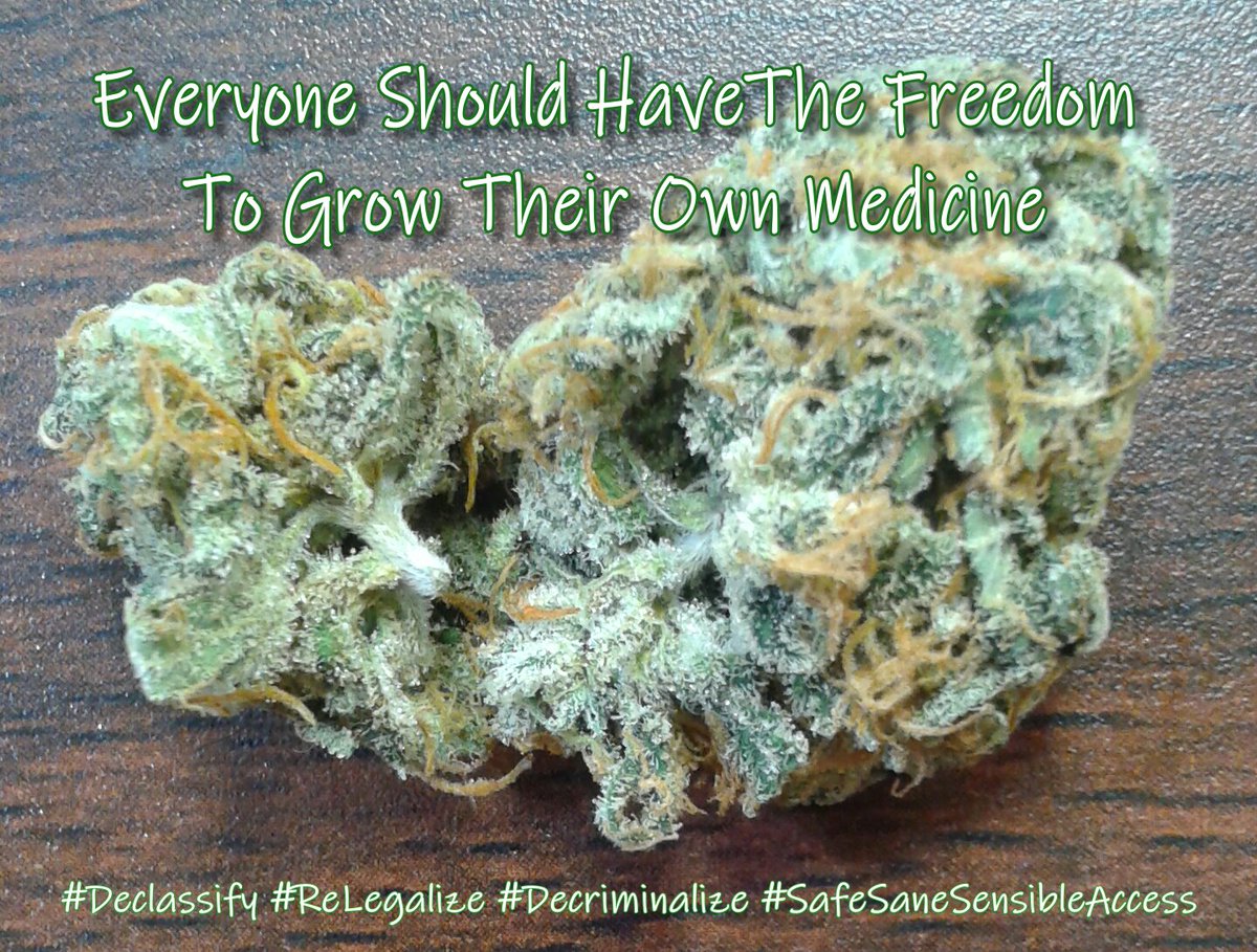 #Happy420 #TokesUp Freedom takes on many forms... Stand up for the #Freedom to #Grow our own #Medicine #Worldwide #CannaFam #StonerFam #CannabisCommunity #GrowYourOwn #Cannabis #Hemp #shrooms