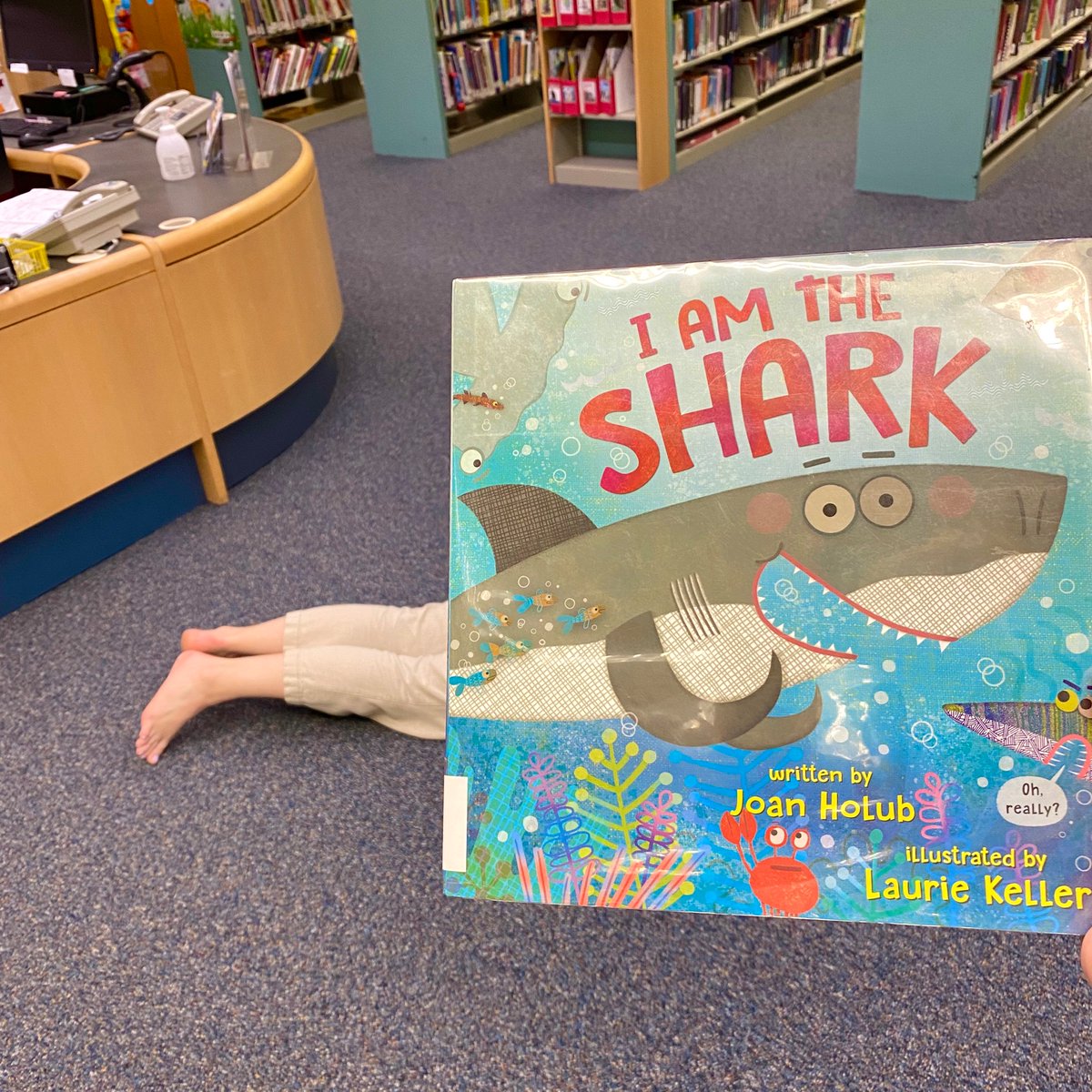 mclsnj's tweet photo. We’re celebrating #fintasticfriday with a #bookface of “I am the Shark” by @joanholub and @lkellerbooks! Check it out today from our collection. #bookfacefriday
#sharks #sharkbooks #kidsbooks #picturebooks #nonfiction #learn #shark #bookfacelicious #bookfacekids #allaboutsharks https://t.co/MeisnT04io