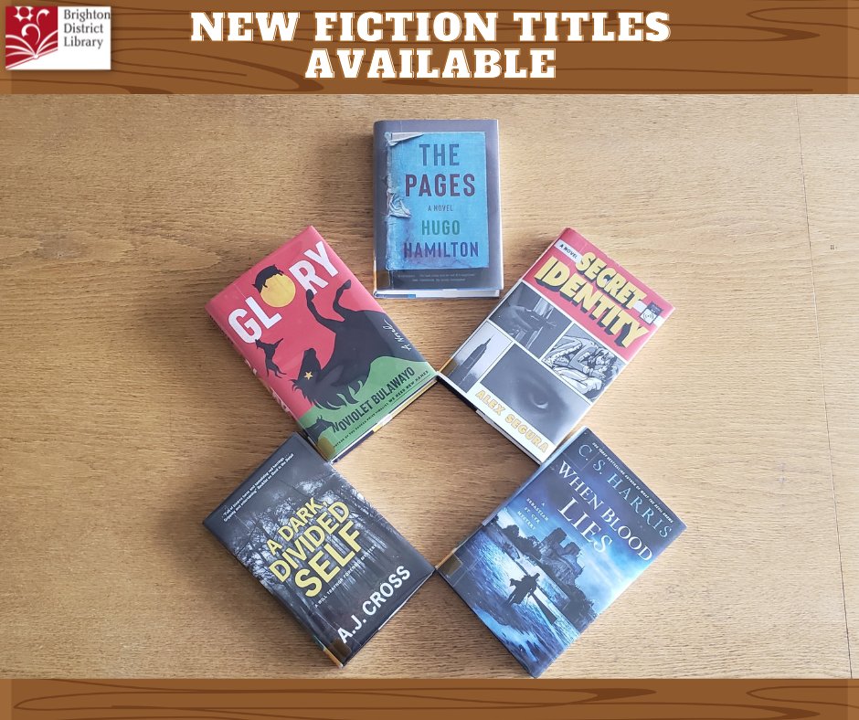 Check out new fiction titles such as:
A Dark Divided Self by A.J. Cross;
Glory by Noviolet Bulawayo;
The Pages by Hugo Hamilton;
Secret Identity by Alex Segura;
When Blood Lies by C.S. Harris;

All of these titles and more can be found using our catalog:
bit.ly/3Oj27wp