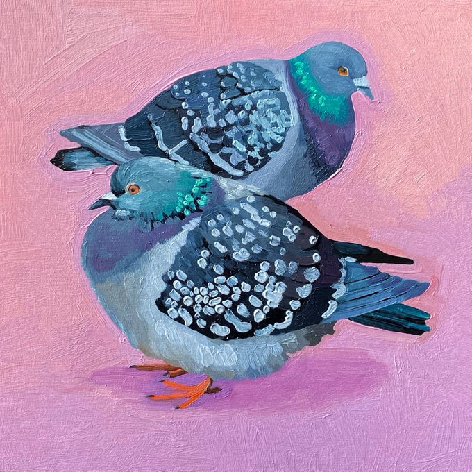 Pigeons and pink-my two favorite things 🐦 