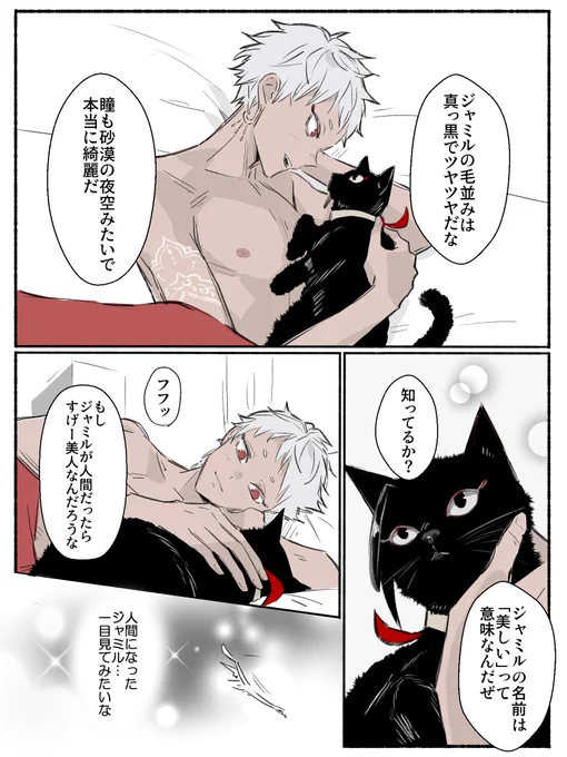 ⚠️全裸注意⚠️ジャミルがネコ→人間(カリジャミ前提)⚠️以上がOKな方のみどうぞ 