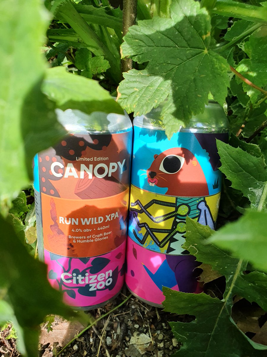 Canopy Beer Co tweet media