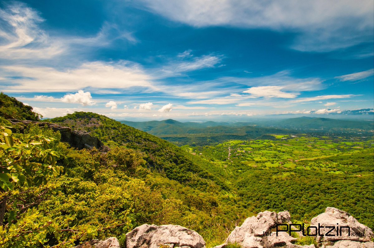 Malinalco Net tweet media