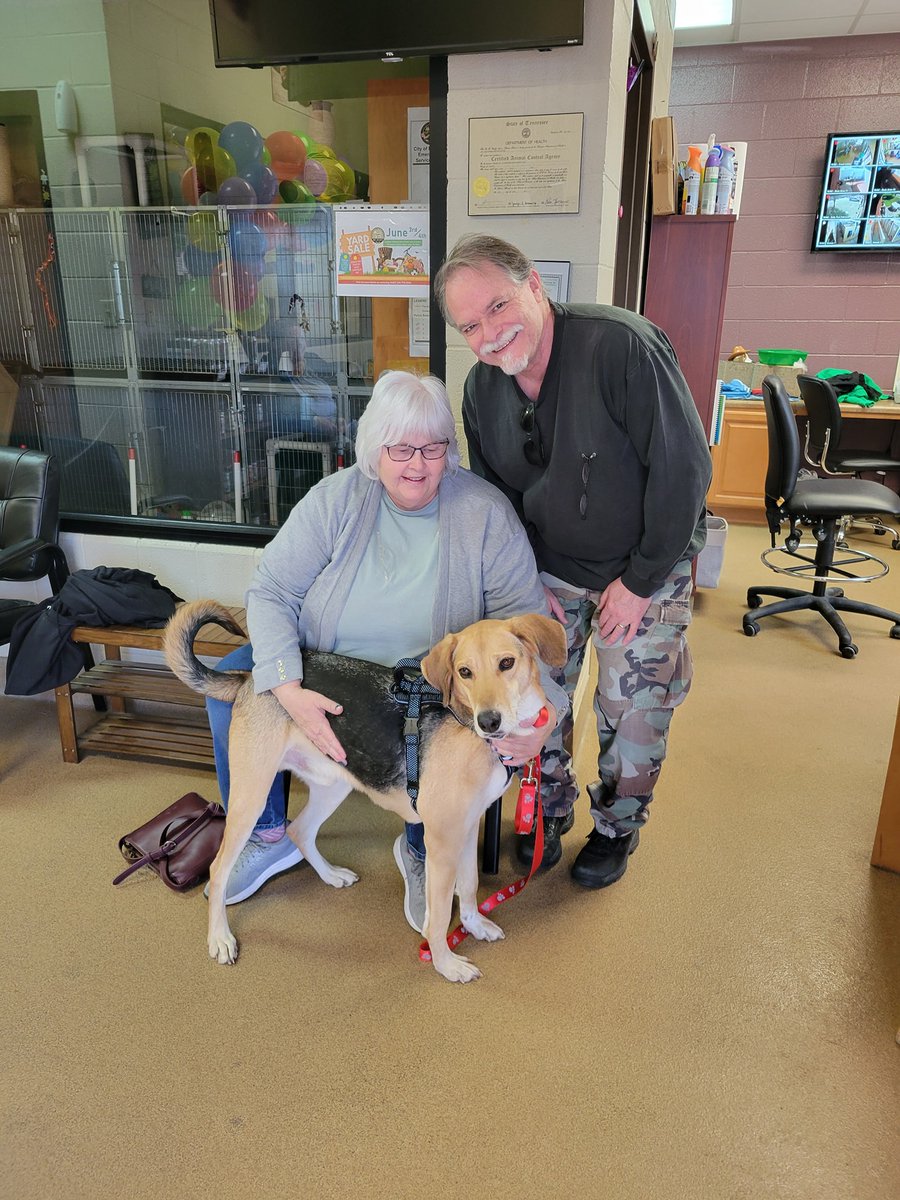 hutins's tweet photo. Three doggie adoptions already?! What a great week 🐾
Reminder: we're sponsoring ALL dog adoptions through the MJ Animal Shelter. Come find your new best friend ❤️🙏 https://t.co/JTybChOiy4