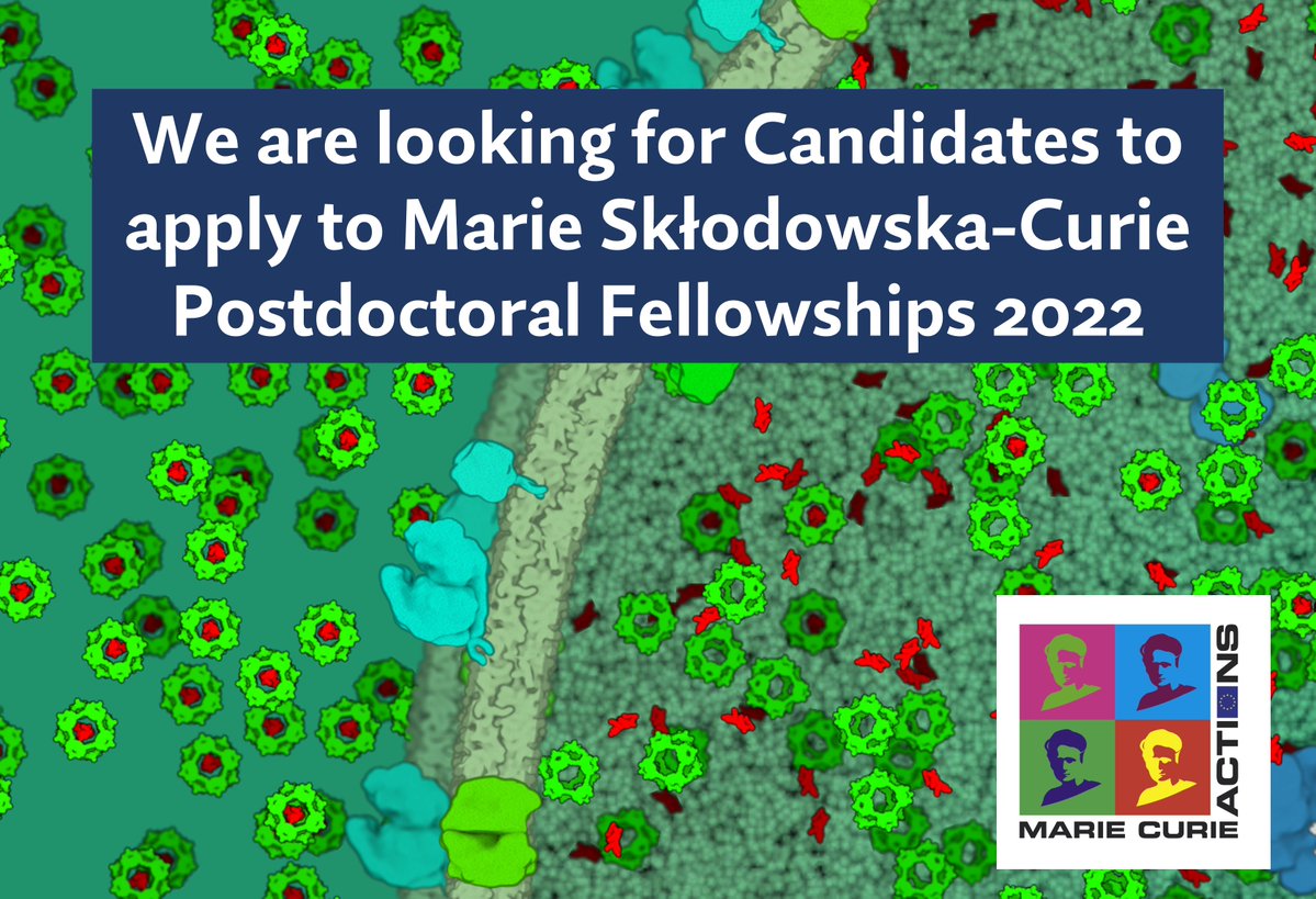 Vicente Martí Centelles👨🏻🔬⚗️🧪 (@vtemarticent) on Twitter photo 📢I am looking for candidates interested to apply for a Marie Curie Postdoctoral Fellowship 2022 to develop a project on #MolecularCages for biological applications in Valencia <a href="/IDM_UPV_UV/">IDM</a> <a href="/UPV/">Universitat Politècnica de València</a>
📰Full info euraxess.ec.europa.eu/jobs/hosting/c…
RT highly appreciated🙏
#chemjobs
#chemtwitter 📢I am looking for candidates interested to apply for a Marie Curie Postdoctoral Fellowship 2022 to develop a project on #MolecularCages for biological applications in Valencia <a href="/IDM_UPV_UV/">IDM</a> <a href="/UPV/">Universitat Politècnica de València</a>
📰Full info euraxess.ec.europa.eu/jobs/hosting/c…
RT highly appreciated🙏
#chemjobs
#chemtwitter