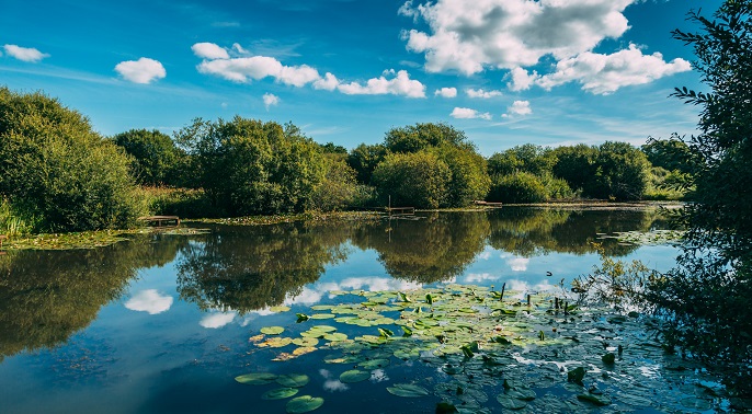 Join us for a free exclusive tour of Newchurch Moors Nature Reserve, plus a talk on the proposed beaver project from <a href="/HantsIWWildlife/">Hampshire & Isle of Wight Wildlife Trust</a>. No charge but places need to be booked: members.cla.org.uk/MY-CLA/Events/… #IOW #isleofwight #CLA <a href="/CLAtweets/">Country Land & Business Assn</a> <a href="/jeremy_loxton/">Jeremy Loxton</a> <a href="/HIWWTEcology/">HIWWT Ecology</a> @Debbie_Tann