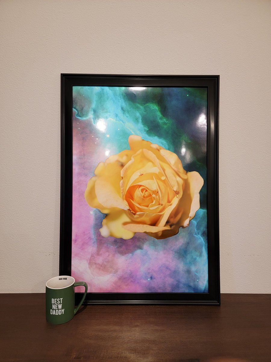 EFoxAJ's tweet photo. The very last Cosmic physical claim with MAT. 20x30 βοΈ for reference. Thank you @MoonAlgo for this amazing print! $algo #algofam #algo #algorand #PristinePrincess https://t.co/jmi6ITWZaJ