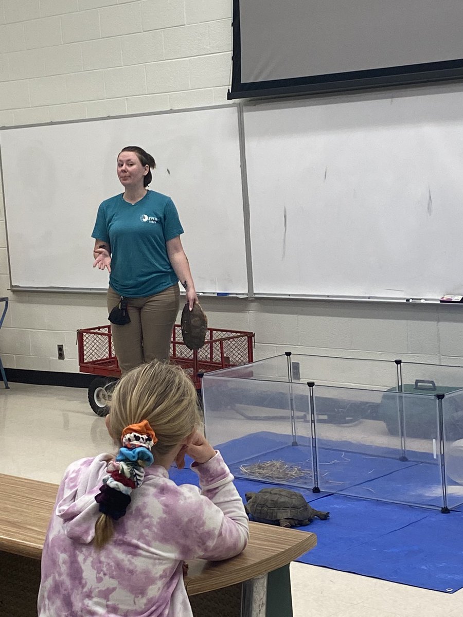 Thank you <a href="/ElmwoodParkZoo/">Elmwood Park Zoo</a> for bringing some animal friends to Glenwood!! 💚💚🤍🤍