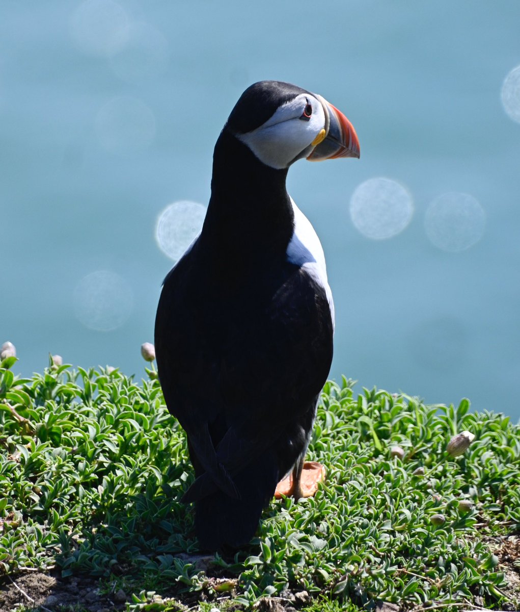 Andrew Watson tweet media