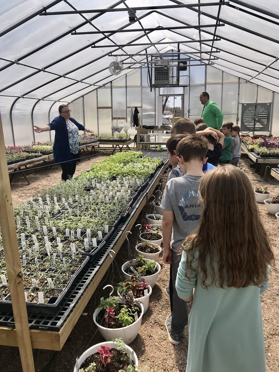 JRushStutheit's tweet photo. 1st graders enjoyed science class in the greenhouse today! 🌸 Thank you @MrEhlersScience @MrsEhlersFACS  and Mrs. Loudon! 
#WeROverton https://t.co/TePReOBLvc