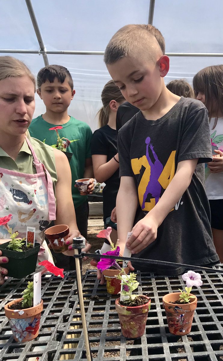 JRushStutheit's tweet photo. 1st graders enjoyed science class in the greenhouse today! 🌸 Thank you @MrEhlersScience @MrsEhlersFACS  and Mrs. Loudon! 
#WeROverton https://t.co/TePReOBLvc