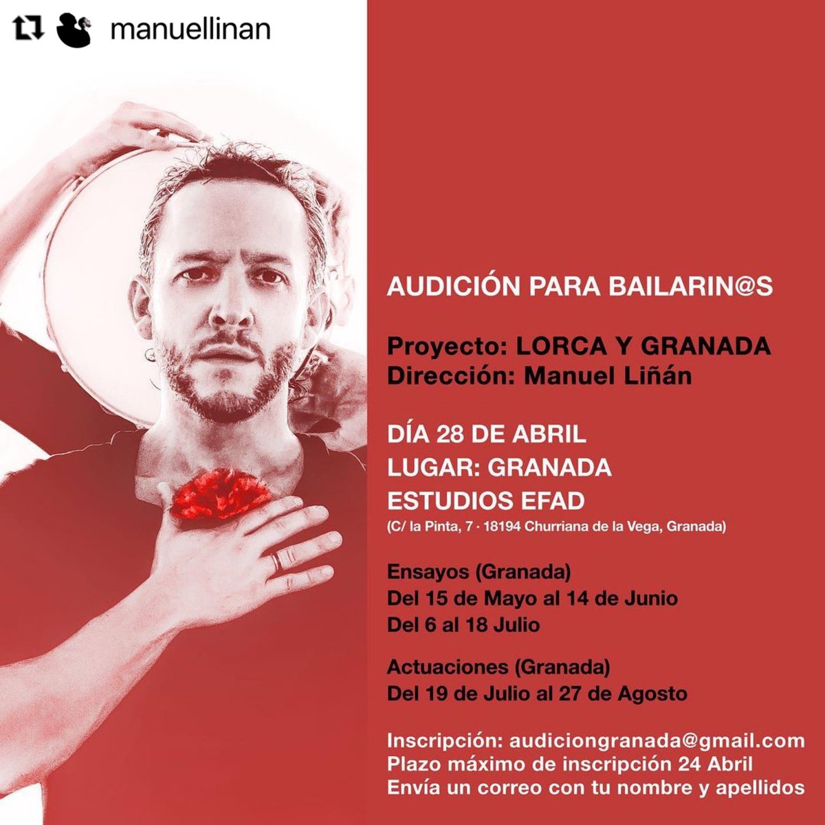 Asociación Artistas Flamencos tweet media