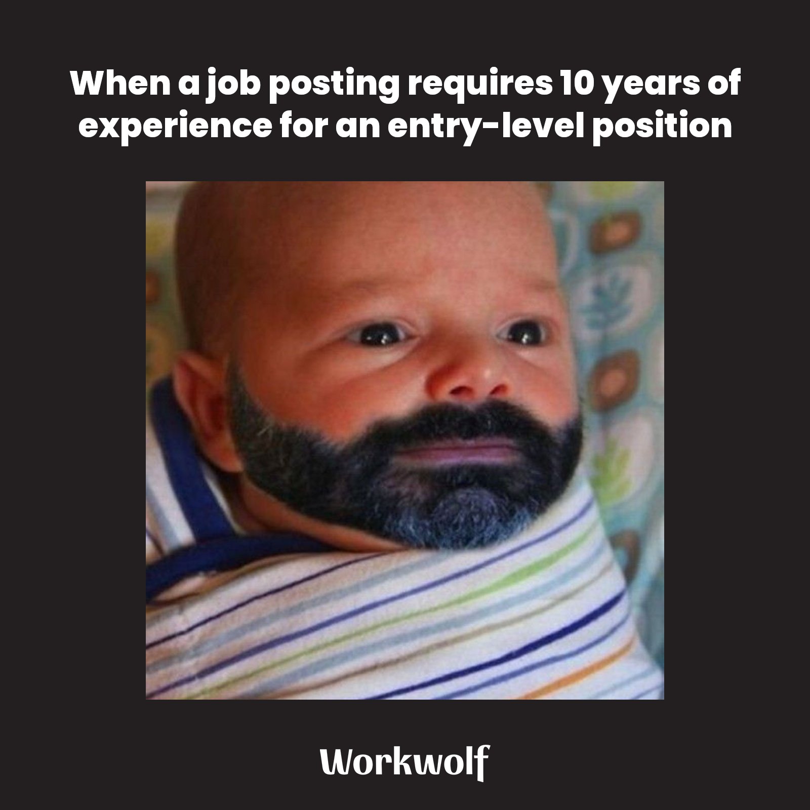 Workwolf on X: "What are the most ridiculous requirements you've ever seen  in a #jobposting for an entry-level position? #EntryLevelJob #EntryLevelJobs  #Job #Jobs #Intern #Internship #RecentGraduate #JobPost #JobAd #Meme #Humor  #Funny https://t.co ...