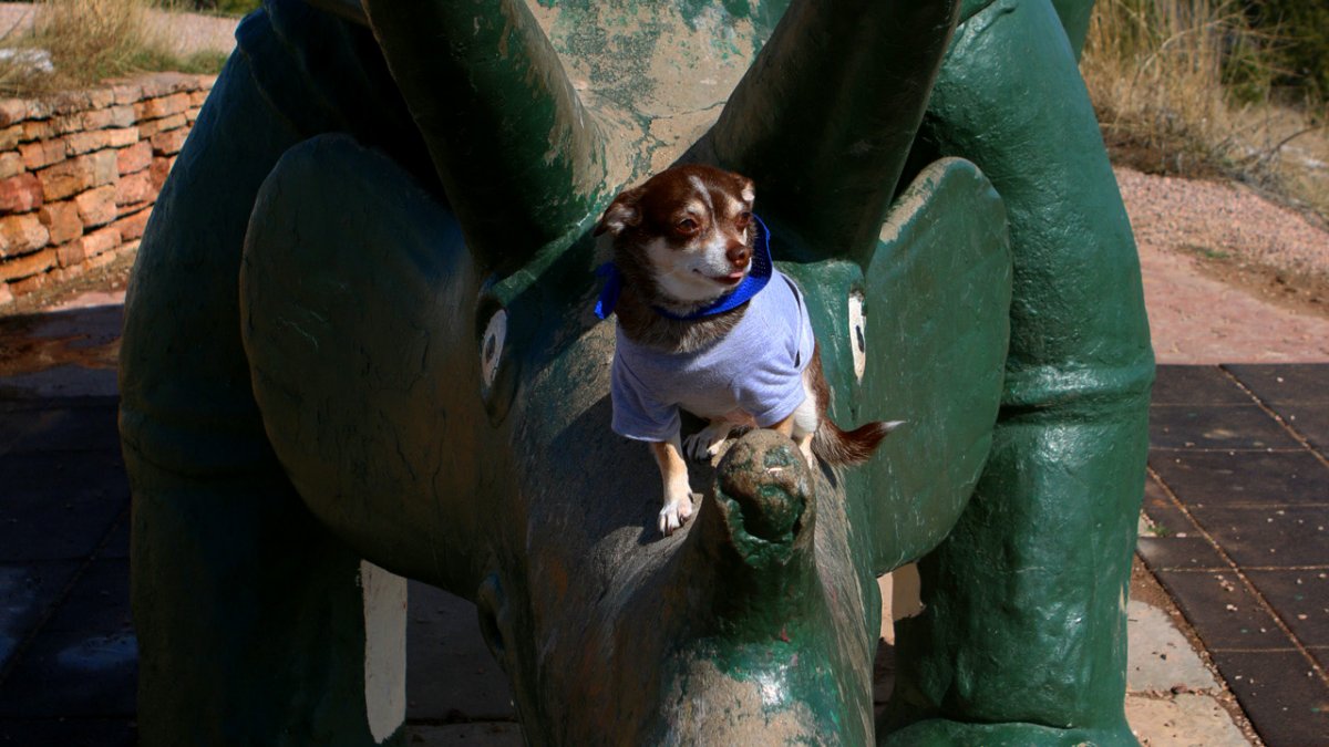 Who needs a dog park when you have the Dinosaur Park? This fun spot in the South Dakota Badlands is pet- and wallet-friendly. Kind of like us.