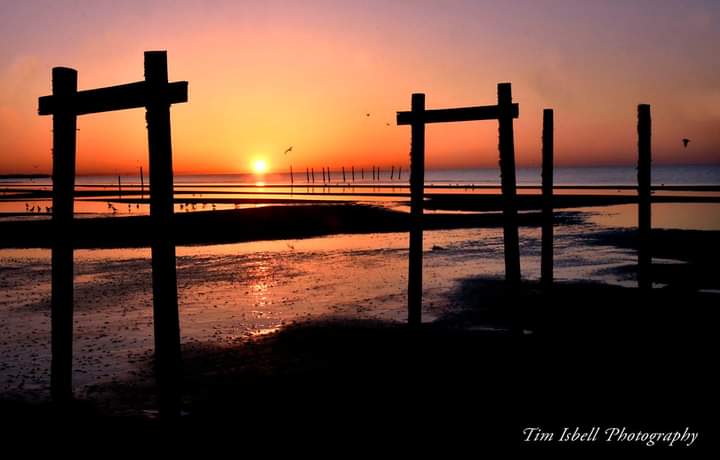 Tim Isbell tweet media