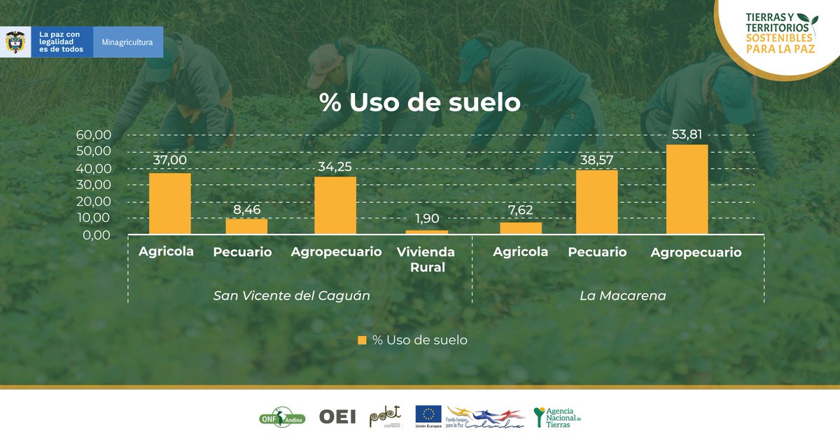 ColombiaOEI's tweet photo. #Entérate, en La Iniciativa #TierrasyTerritoriosSosteniblesparalaPaz, se han identificado los usos de suelo que más predominan en los municipios de San Vicente del Caguán (Caquetá) y La Macarena (Meta), conoce el porcentaje de uso de suelos. Avanzamos hacia la equidad. https://t.co/8fhJJ5LhIh
