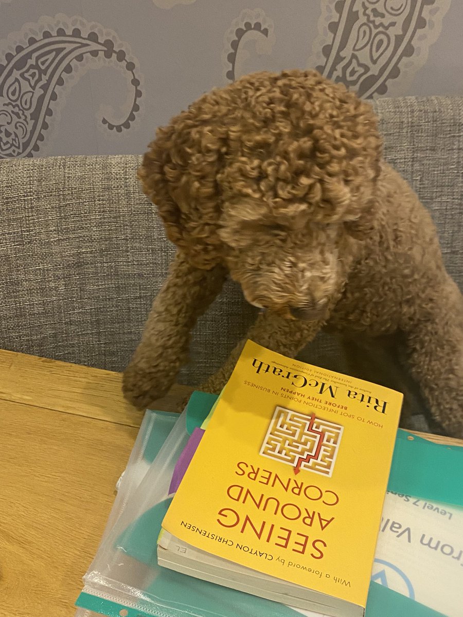ElaineLitten74's tweet photo. Even Mabel wants to see what all the fuss about inflection points is. @AlisonKelly66 #ourncejourney #notreallyhelping https://t.co/QrOlk8x5P9