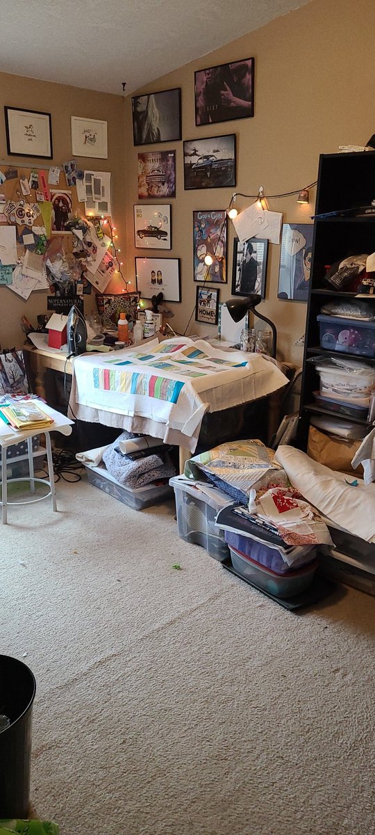 gingerfaerie's tweet photo. @squeevening I feel your pain. I have too much stuff for the storage space available. https://t.co/QujTCCNxwv