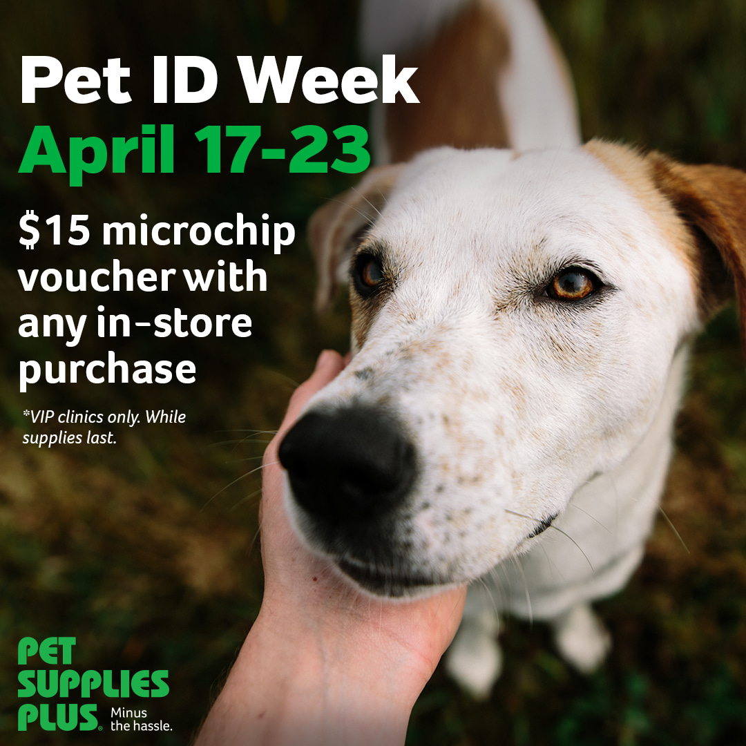 psp9024's tweet image. Don’t miss this great deal with out partner, #vippetcare #pspAlbany