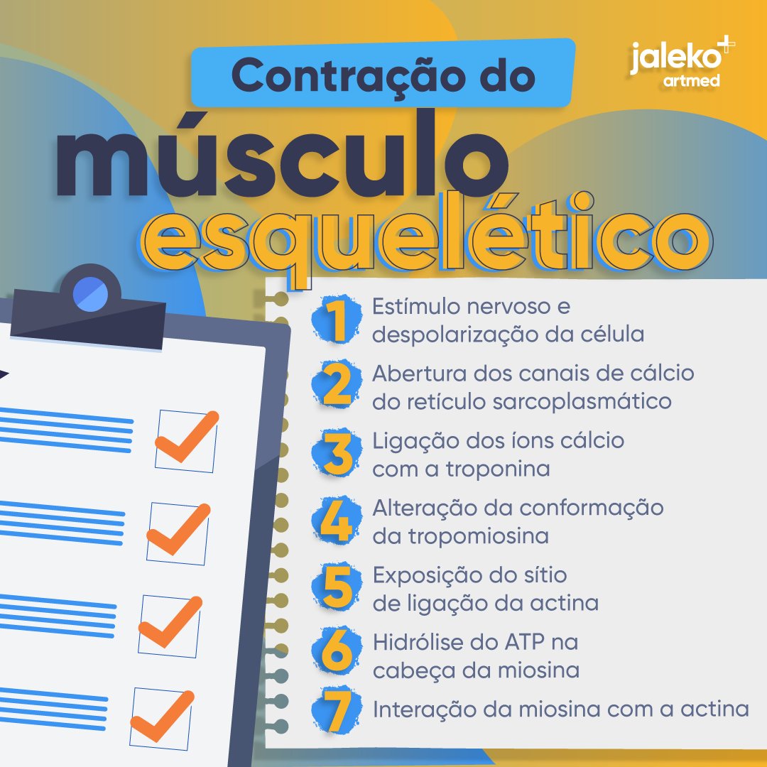 JalekoAcad's tweet photo. Organização e contração do músculo esquelético, é sobre isso que vamos falar aqui! 😉

E para te ajudar a entender melhor, se liga só nesse checklist que preparamos para você! 😍

👉 Compartilha com o seu amigo e salva para ver quando quiser! https://t.co/xsyomaIs4Y