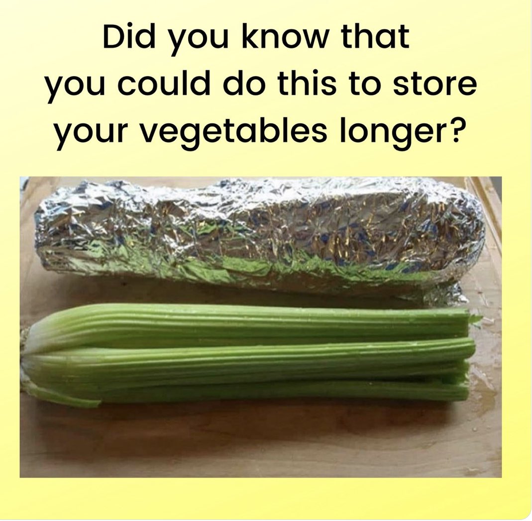 MadeInCanada_eh's tweet image. This right here 🤯game changer in storing celery.
Whoever it was that originally tweeted this method 🙌 
#HowToStore #Celery