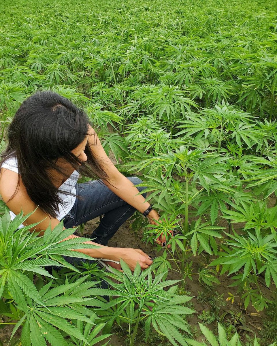 Joline Rivera ⚡️🖤 tweet media