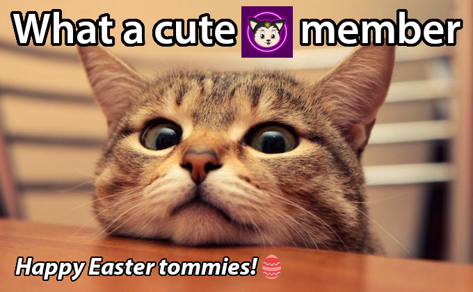 Szymek4747's tweet photo. #catom #juno #cosmos
Catom Family: https://t.co/SNm75Uk92X
Happy Easter Tommies!!😻 https://t.co/zpQtnwJj1a