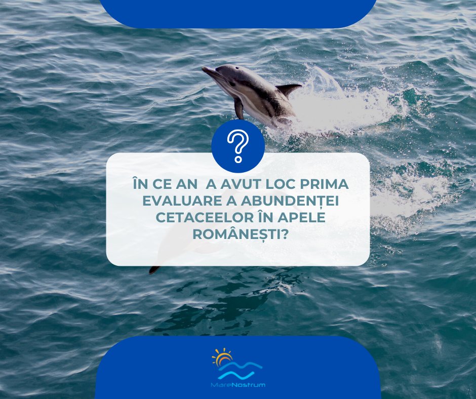 Ia să vedem, cine știe? 🤔🤔 

#Trivia #ongmarenostrum #delfini #mareaneagra
