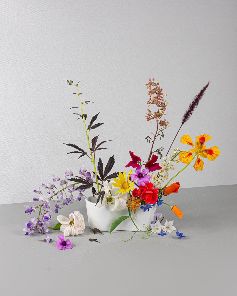 mdanielaquiros's tweet photo. Happy #420 everyone! Had so much fun making these in my studio, enjoy β¨ #forageflowers #fineartphotography #stolenflowersfromthestreet #spring #localplants #fineartfloral #nofloralfoam #weed #aweedisaflower #cannabis #cannabiscommunity #marijuana β https://t.co/GKGWd1fFEK https://t.co/rsONjlJOEf