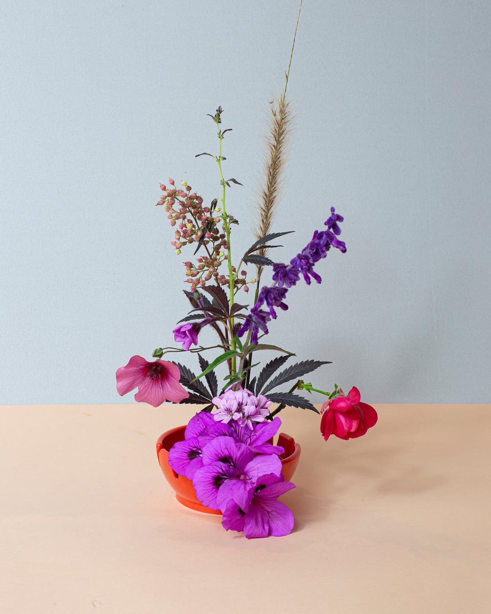 mdanielaquiros's tweet photo. Happy #420 everyone! Had so much fun making these in my studio, enjoy β¨ #forageflowers #fineartphotography #stolenflowersfromthestreet #spring #localplants #fineartfloral #nofloralfoam #weed #aweedisaflower #cannabis #cannabiscommunity #marijuana β https://t.co/GKGWd1fFEK https://t.co/rsONjlJOEf
