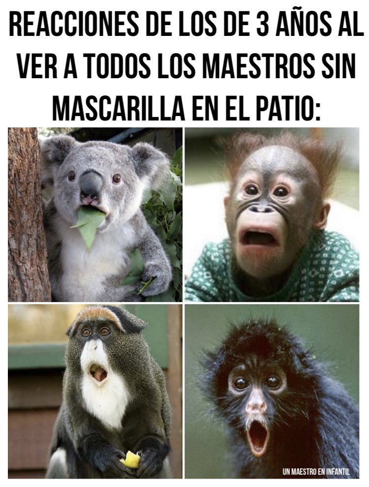 Un maestro en Infantil (@eninfantil) on Twitter photo 