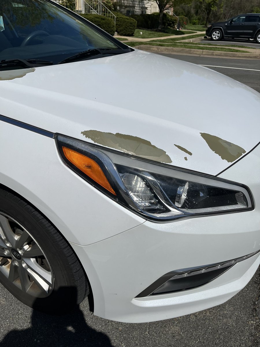 Star060708's tweet photo. Disappointed in Hyundai for not taking responsibility for paint issues on white vehicles @Hyundai https://t.co/wZYG8jvYMM