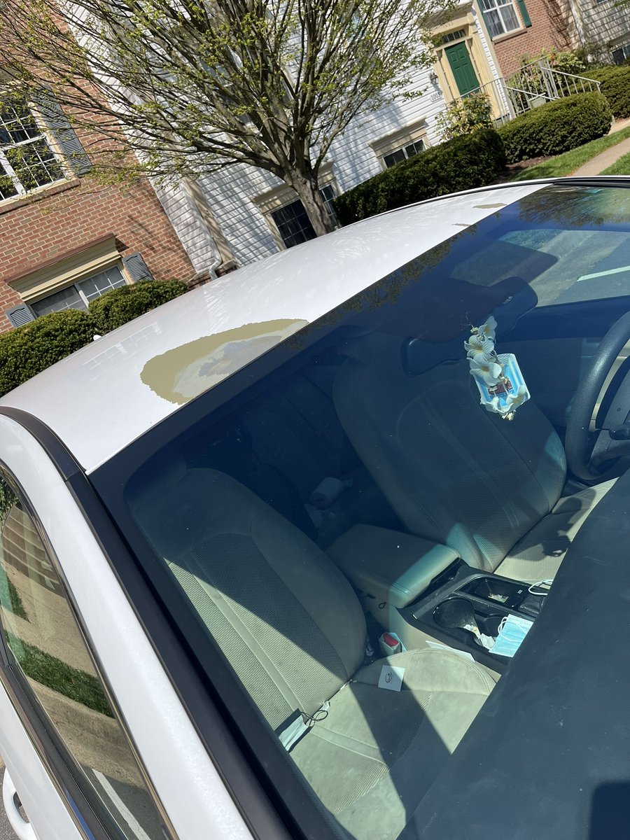 Star060708's tweet photo. Disappointed in Hyundai for not taking responsibility for paint issues on white vehicles @Hyundai https://t.co/wZYG8jvYMM