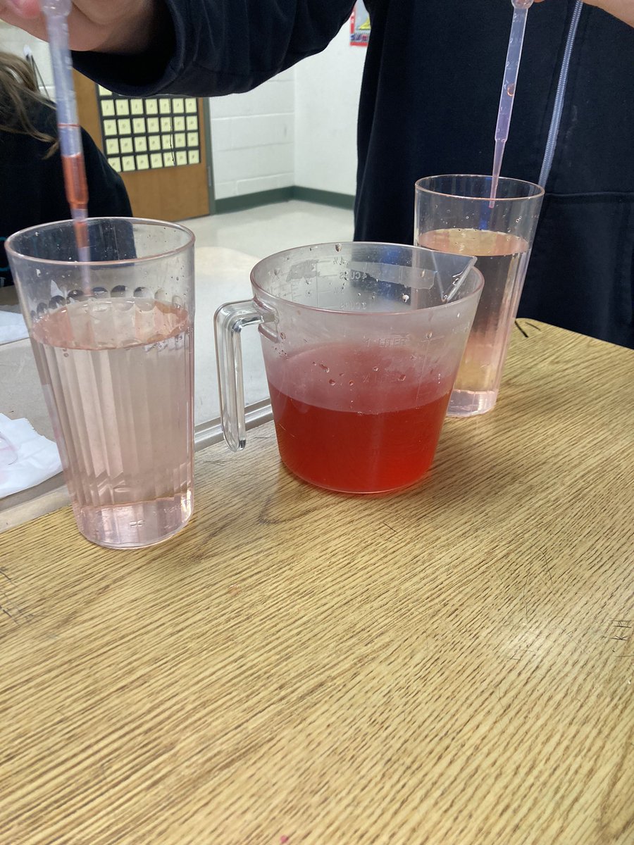 Today students tested to see if salt water really was heavier than tap water like the salt water in our oceans!@Panthers_PTO <a href="/MTinsman_edu/">M Tinsman Principal</a>