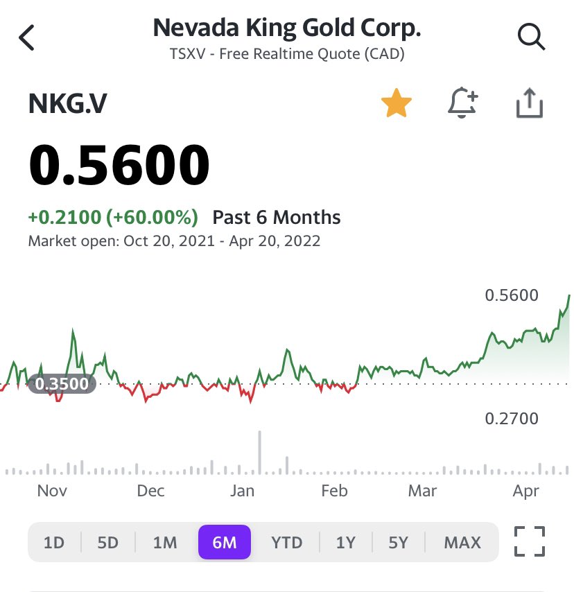 cutpluggin's tweet image. Nevada King Gold looking perky.  $NKG.V