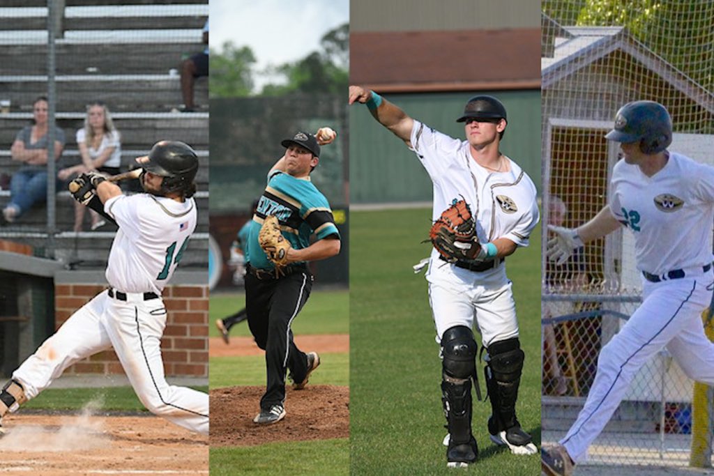 Edenton Steamers tweet media