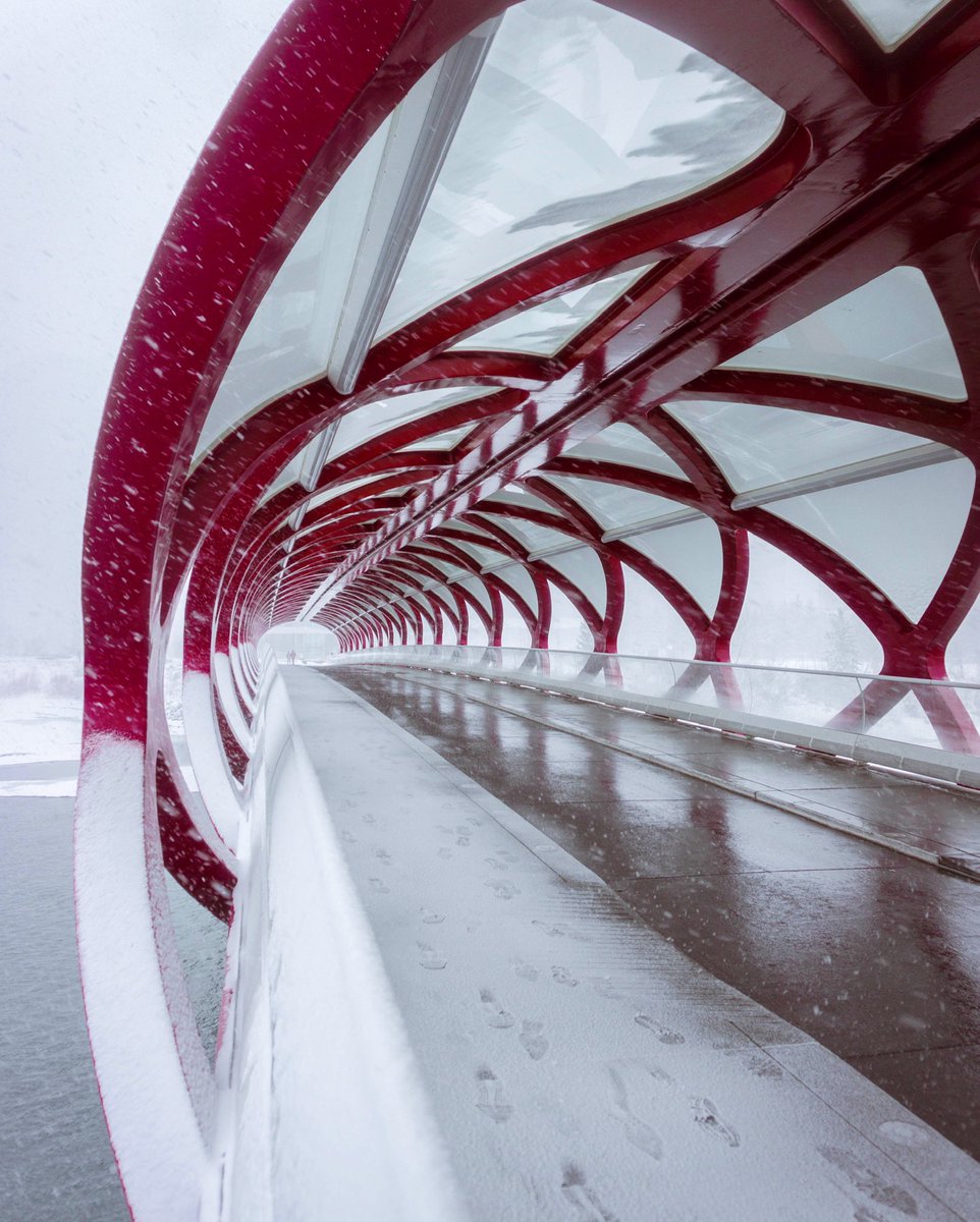 GM from third Winter here in #YYC ❄️😂 at least it makes for some beautiful shots.