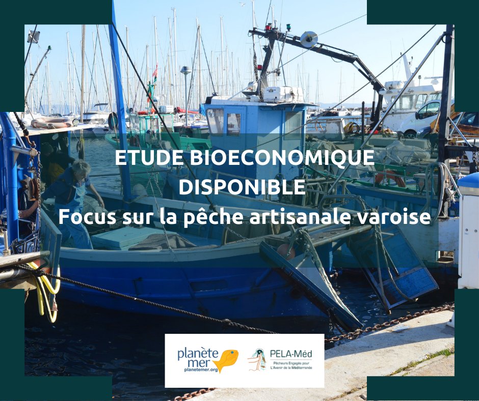 PlaneteMer's tweet photo. ❗❗ Diffusion inédite en libre accès de l’étude de la dépendance économique aux espèces et aux métiers de la pêche artisanale varoise. 
👉 https://t.co/qROWRjGAsm
#FranceFilièrePêche @fdnc_fr @MaRegionSud  @Fonda_Carrefour @metropoleTPM @Ifremer_fr @UmrAmure https://t.co/8Z3ZVgv7yN