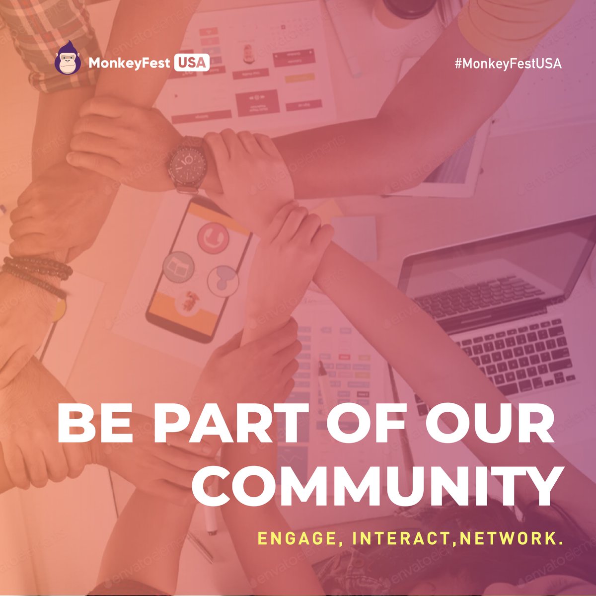 MonkeyFestUSA tweet media