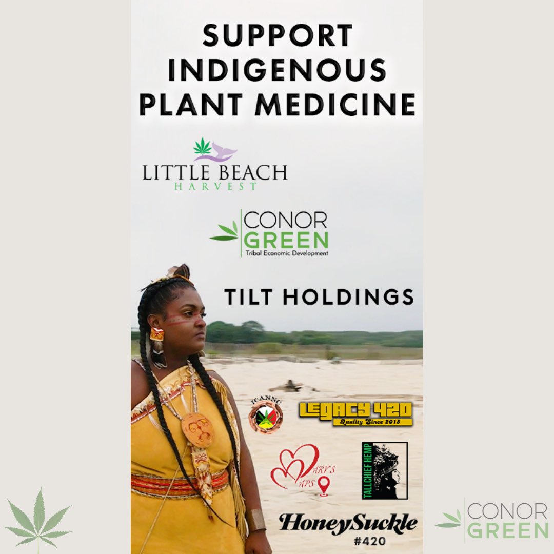 ConorGreenLLC's tweet photo. #420 #april20 #tiltholdings #shinnecocknation #littlebeachharvest #inigenous #cannabis #conorgreen https://t.co/ahLIyPhVj3