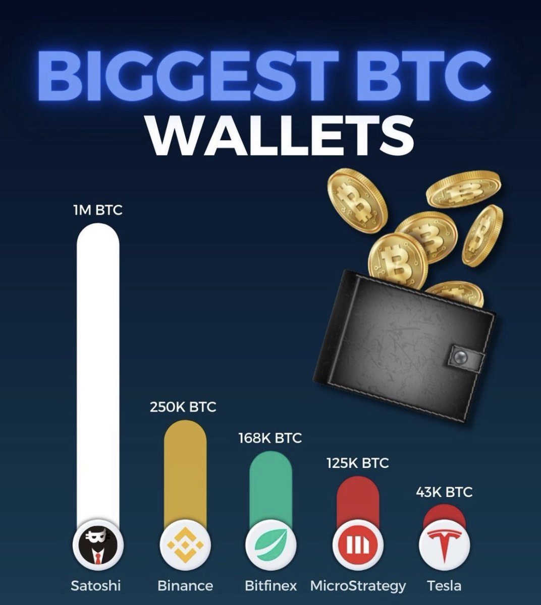 AB HODL (@ab_hodl) on Twitter photo 