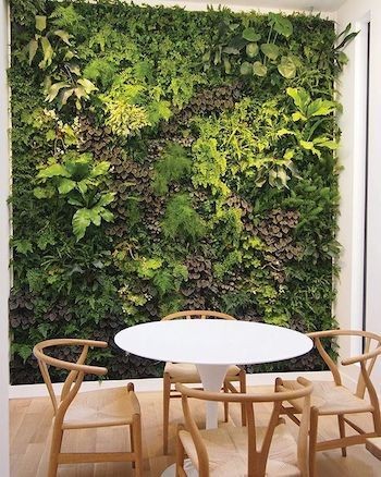 Ahmed120919's tweet photo. Artificial grass wall جدار العشب مع الأوراق الصناعي
١. أصبح خيار جيد في التصميم الداخلي.
٢.جدار واحد فقط يكفي مثل المدخل. خصوما مدخل دبل هايت لانه يجبرك إطالة النظر عليه
٣. اختيار النوعيه الممتازه حتى يكون أقرب للطبيعي. يتبع #interiordesign #interiordecore #تصميم_داخلي https://t.co/Iz7fbuDrnS