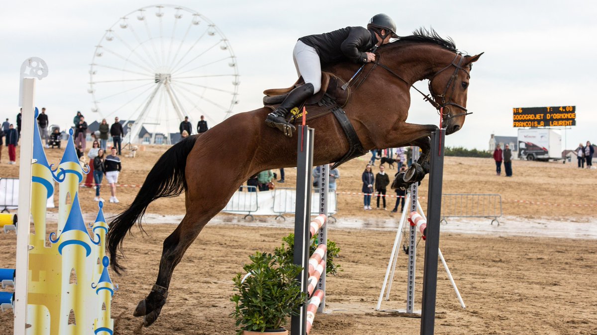 EMNormandie's tweet photo. 📸 Retour en image sur la 6è éd. du Concours de Saut d'Obstacles organisé par #JUMPEM : la plage de #Ouistreham a accueilli 228 cavaliers au total sur les 2 jours de compétition ensoleillés ☀️ Un gros succès pour l'association de l'@EMNormandie ! Bravo à tous les participants 👏 https://t.co/5S0obXwJDT