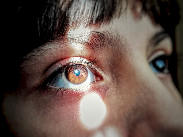 BioTay's tweet photo. 1/3 Las pupilas evidencian la afantasía.
Cuando imaginamos luz u oscuridad, nuestras pupilas cambian de tamaño. Han evidenciado que esto no ocurre en las personas con afantasía; es la primera evidencia fisiológica de dicha condición (paper) https://t.co/Wif9XXFmaE cc @aberron https://t.co/VyliPjdd71
