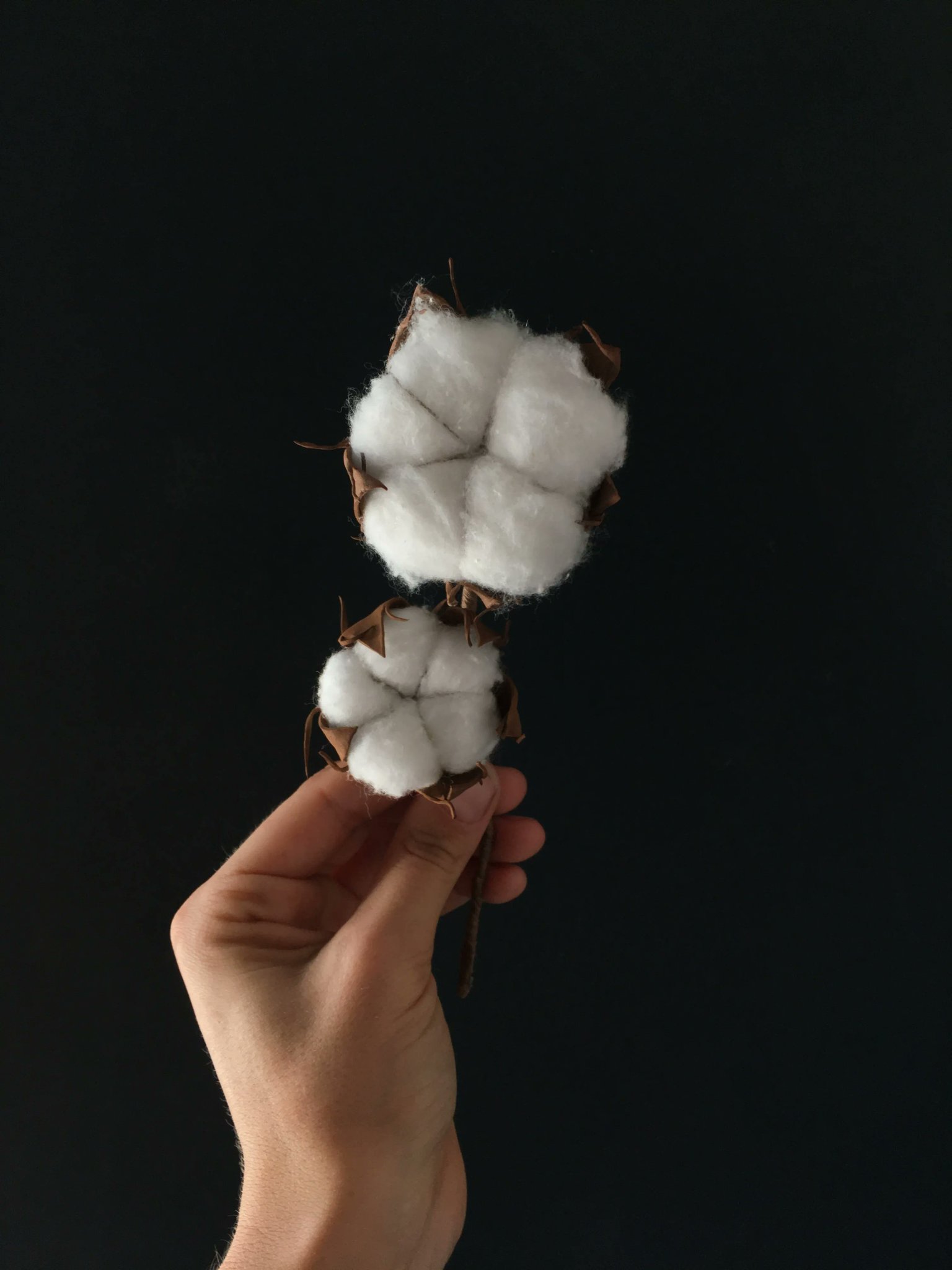 The Seam on Twitter "The most recent USDA Crop Progress report shows