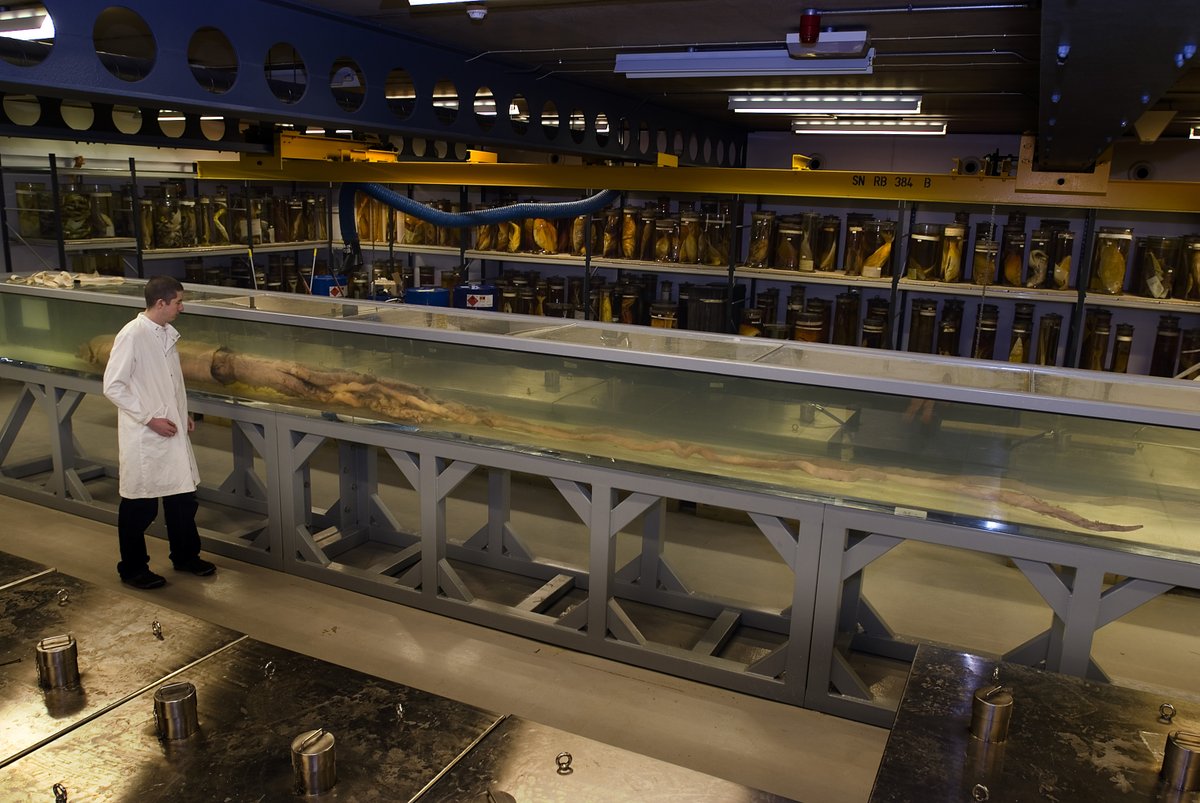 UniOfTheUnderground tweet media