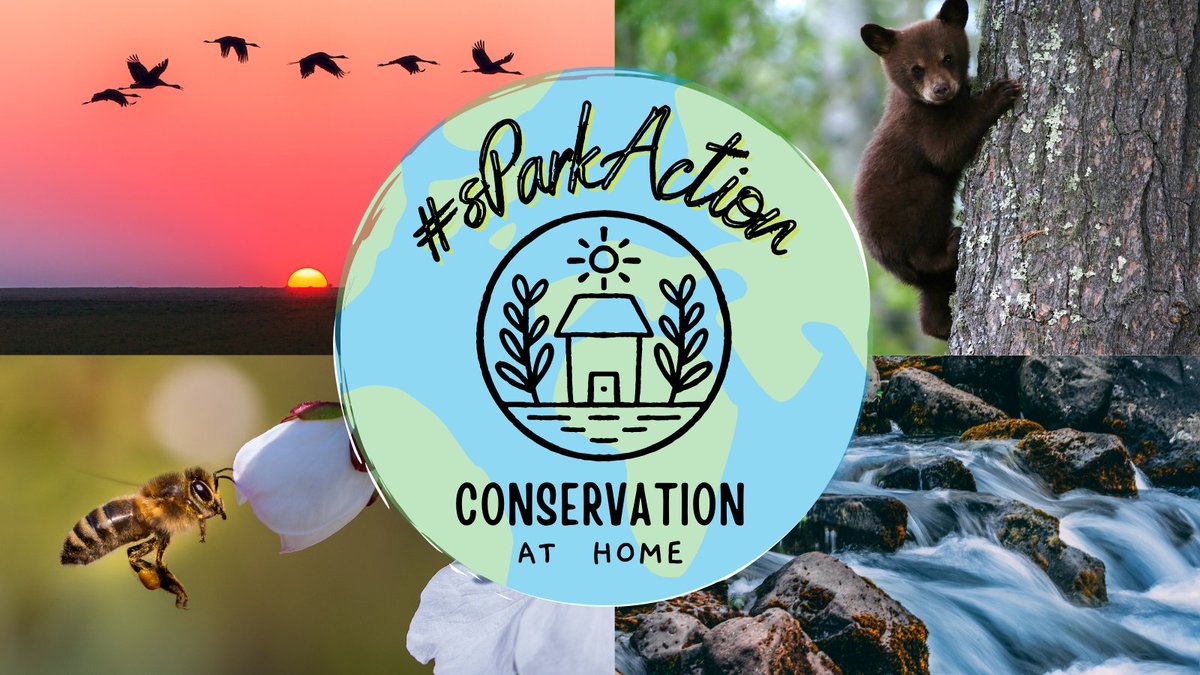 NatureNPS's tweet photo. 🌎 Happy Earth Day! 🌎 #DYK that protecting your national parks can start at home? Simple action you take at home can have far-reaching effects. #sParkAction with these #ConservationAtHome tips: https://t.co/ZIL0uWnZ1b 

#ConnectedConservation #EarthDay #NationalParkWeek https://t.co/tc7MuCJTvh