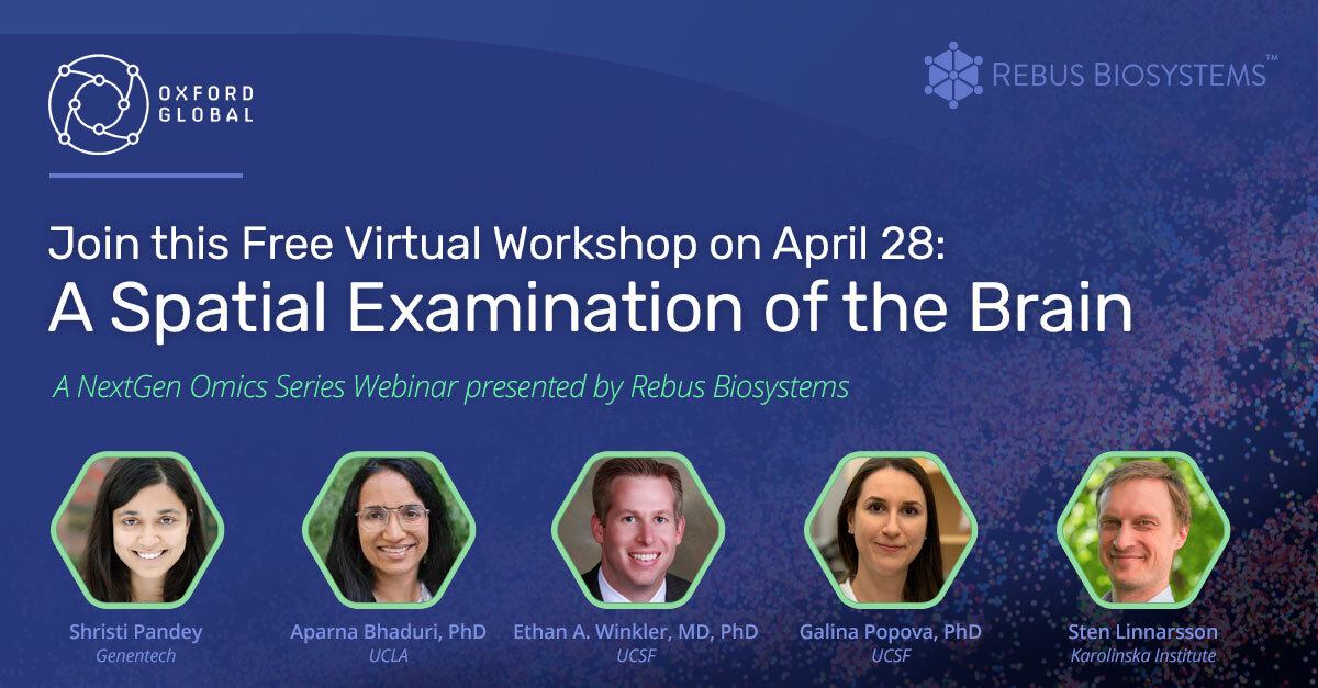 Rebus Biosystems (@rebusbio) on Twitter photo <a href="/RebusBio/">Rebus Biosystems</a> has assembled thought leaders for a free webinar April 28 at 5 pm CET / 8 am PST / 11 am EST
Register: oxfordglobal.co.uk/events/upcomin…
#spatialdiscovery #neurobiology #freewebinar <a href="/RebusBio/">Rebus Biosystems</a> has assembled thought leaders for a free webinar April 28 at 5 pm CET / 8 am PST / 11 am EST
Register: oxfordglobal.co.uk/events/upcomin…
#spatialdiscovery #neurobiology #freewebinar